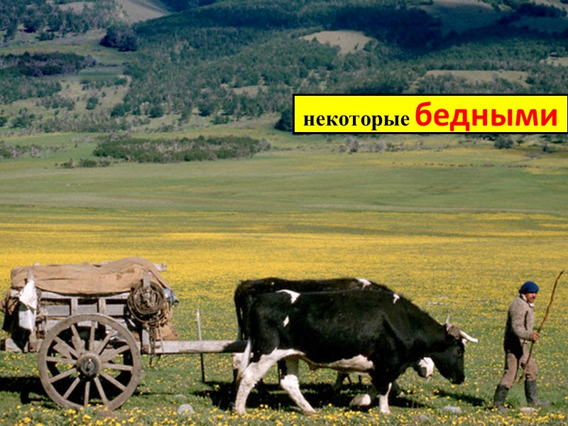 некоторые бедными